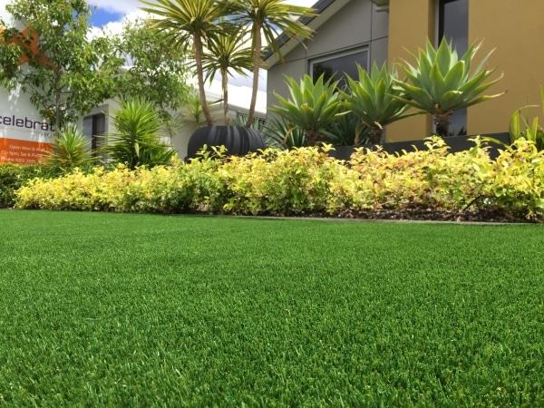 Best Quality artificial lawn Front yard Perth