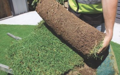 How to Prepare Soil for new turf installation Perth?