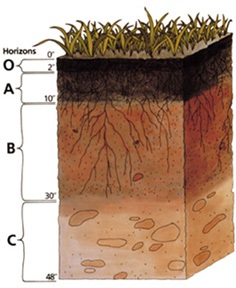 Top soil perth wa Eco landscape supply