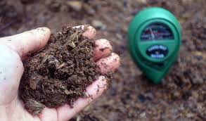 eco landscape supply testin the soil ph level