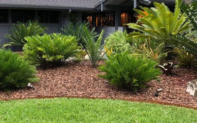 16 Benefits of Using Mulch in your Perth Garden